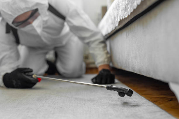 Professional Termite Control technician working in Merrill, WI