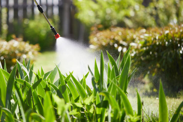 24/7 Emergency Termite Control experts in Merrill, WI